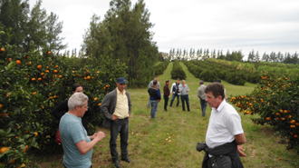 Produtores conheceram o packing house do grupo, o viveiro CONMUDAS e dois pomares (Foto: Sebrae/RS)