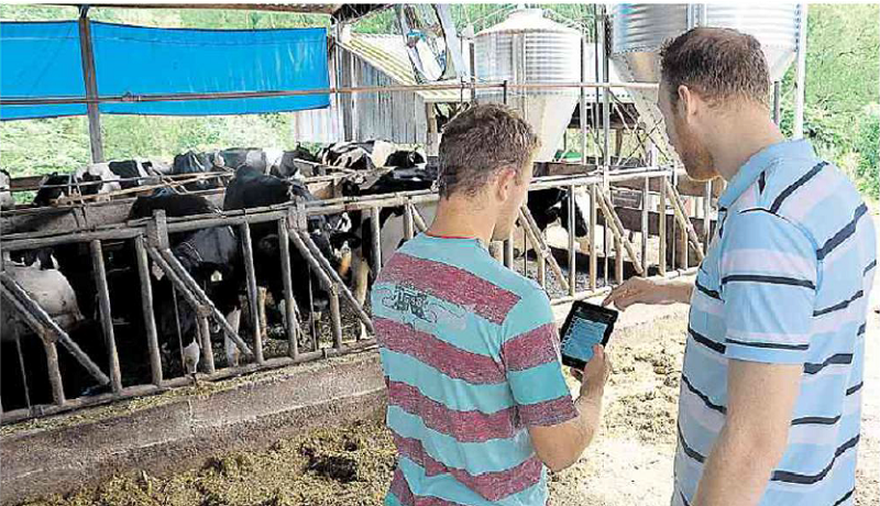 Software da Control Milk ajuda na gestão das propriedades (Foto: Control Milk / Divulgação)