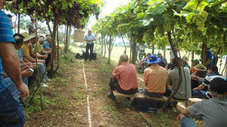 Produtores da região Noroeste participarão de Dias de Campo (Foto: SEBRAE/RS)