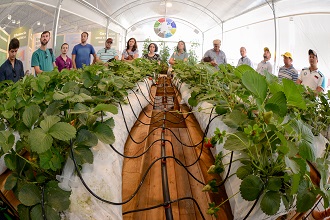 Visitantes conhecem a Estufa Conceito no estande Juntos para Competir (Foto: Fagner Almeida)