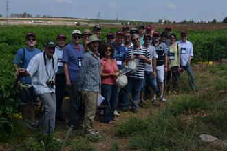 Visita ao Moshav Bet Ezra, produtor de tomate de campo aberto e em estufa (Foto: Sebrae/RS)