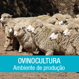 Salão do Empreendedor 114