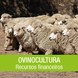 Salão do Empreendedor 116