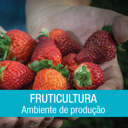 Salão do Empreendedor 108