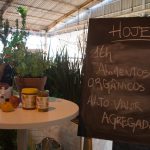 Salão do Empreendedor 28